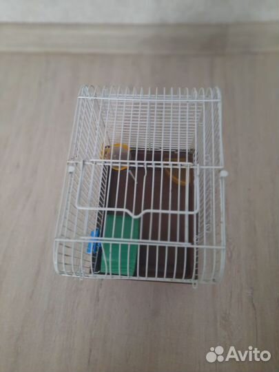 Маленькая клетка для маленьких грызунов