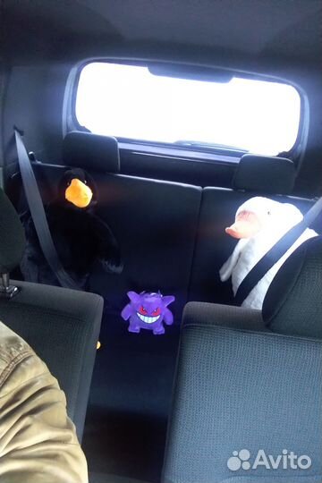 Зоотакси Krы'S. Индивидуальная перевозка животных