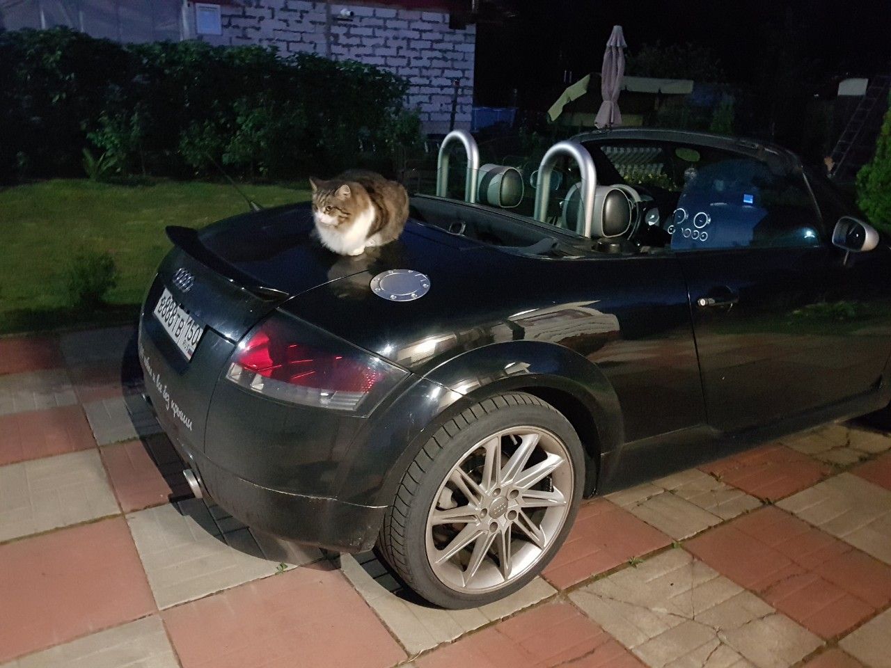 Audi TT: фото владельца