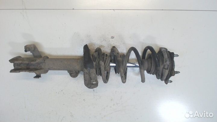 Амортизатор подвески Honda CR-V, 2009