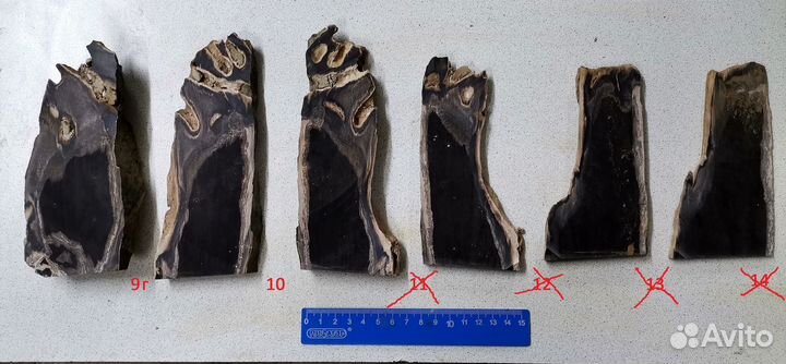 200.11 Дерево окаменелое