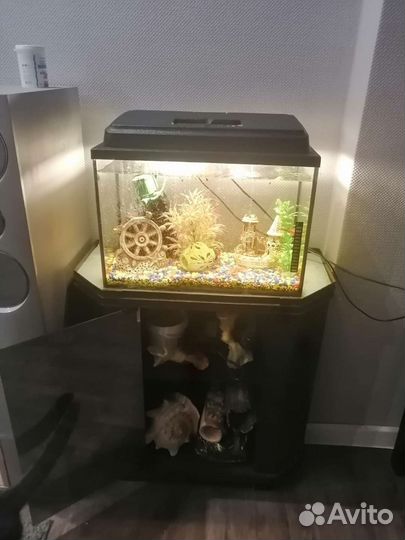 Аквариум