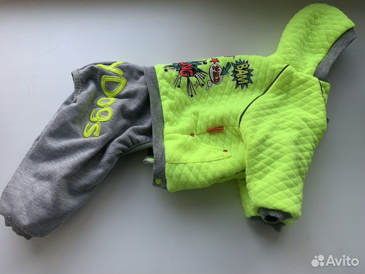 Костюм для шпица/йорка 18