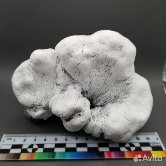 Кахалонг, Оренбургская обл