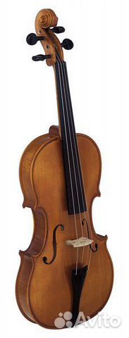 Скрипка студенческая