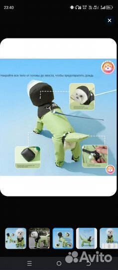 Дождевик для небольшой собаки