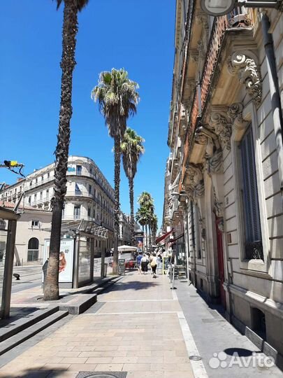 Репетитор по французскому языку