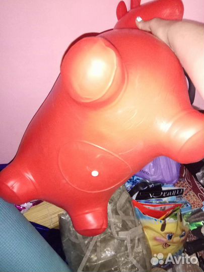 Ослик прыгун