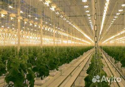 Sylvania grolux для растений 400w