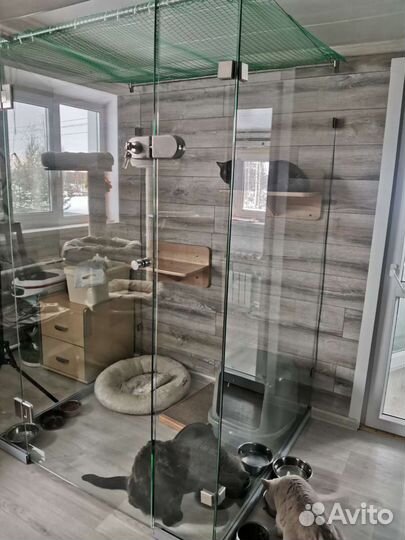 Гостиница для котиков (передержка)