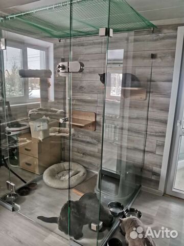 Гостиница для котиков (передержка)