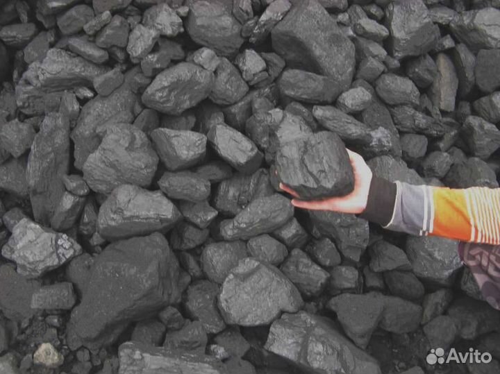 Разнообразие древесины: дубовые, кленовые, акациевые дрова