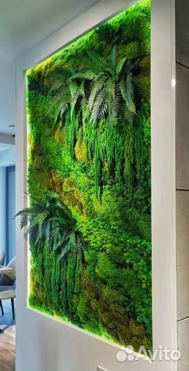 Фитокартина из мха и растений