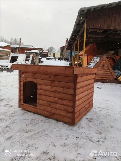 Собачья будка