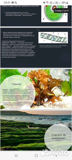 Создание презентаций