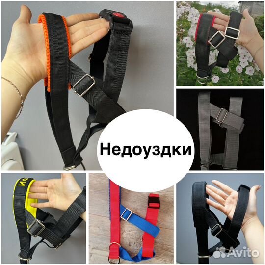 Ошейники, шлейки, недоуздки для собак