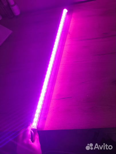 Фитолампа для растений