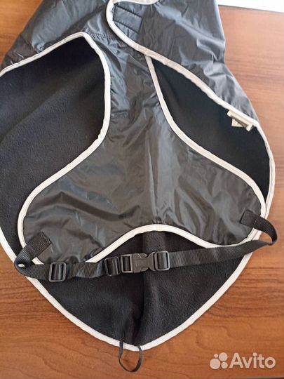 Новая попона hunter, Германия