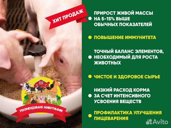 Комбикорм для свиней