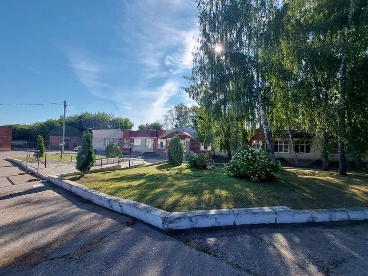 Свободного назначения, 245 м²