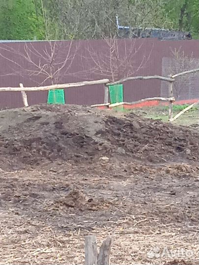 Навоз коровий перегной