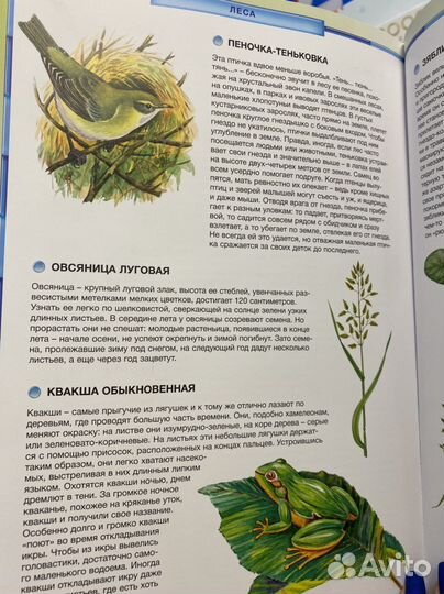 Детская энциклопедия