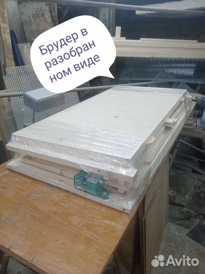 Брудер для цыплят