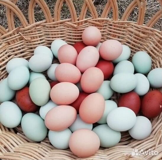 Козье молоко