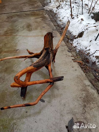 Коряжка для аквариума, рыбки