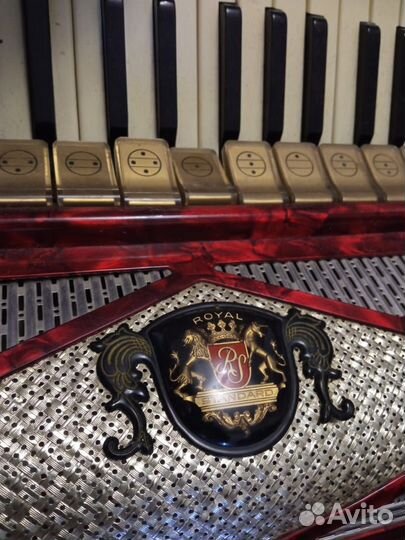 Аккордеон royal standard