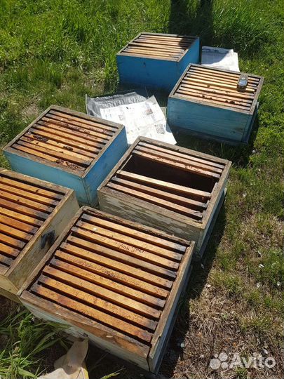 Ульи для пчел бу