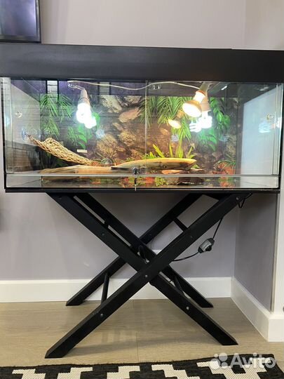 Террариум для рептилий бу