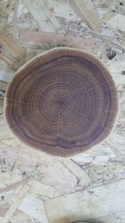 Спилы торцевые (для эко дизайна)