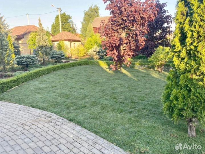 Рулонный газон 