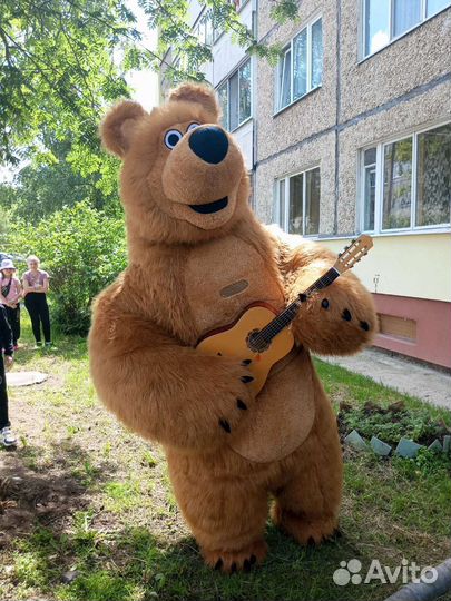 Мишки, зайки, кот, горилла