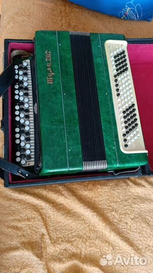 Баян Тула 202