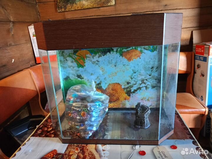 Аквариум