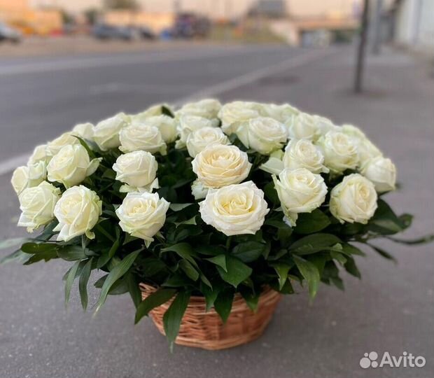 101 роза 51 роза Цветы