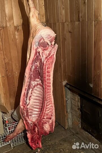Мясо свинина