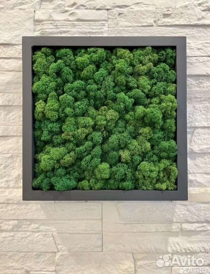 Квадратные полки со мхом/ декорация настенная