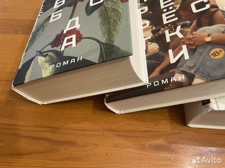 Джонатан Франзен