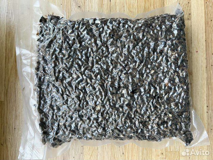 Пчелиный подмор