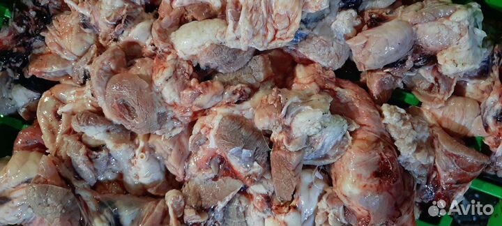 Корм для собак