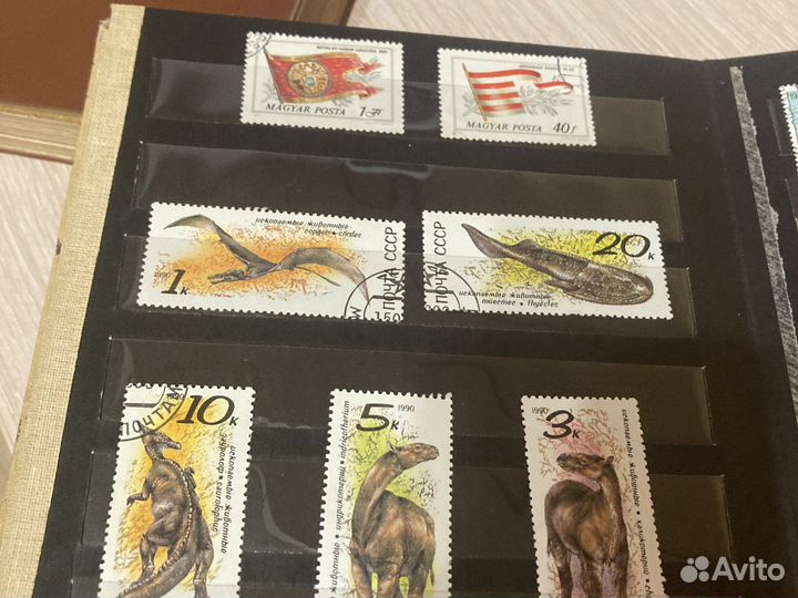 Альбом и марки