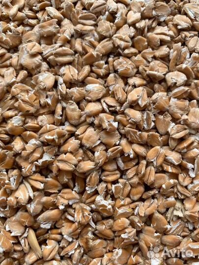 Корм для лошадей и крс