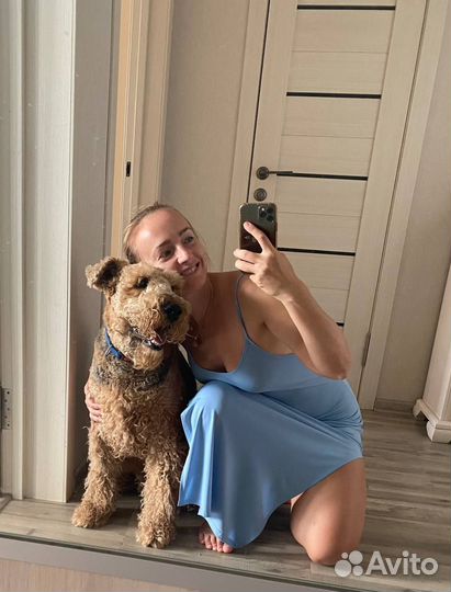 Передержка собаки. Догситтер. Собачья няня