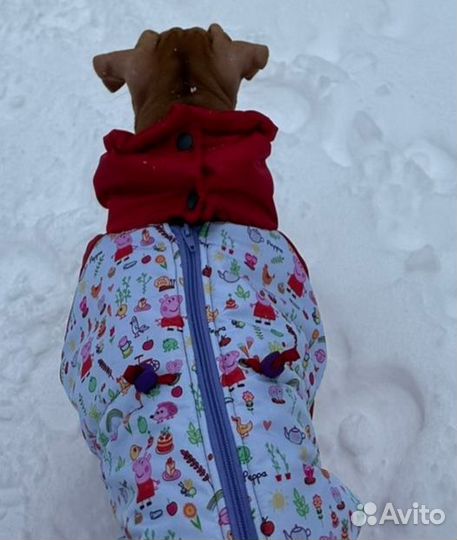 Одежда для собак комбинезон 33 см