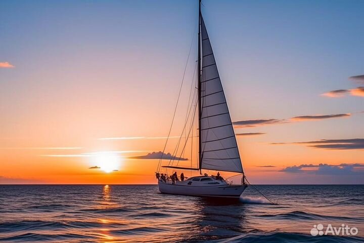 Экскурсии к дельфинам в открытое море 