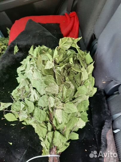 Веники для бани