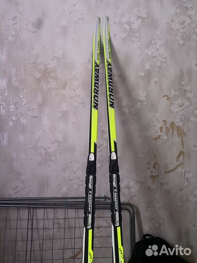 Беговые лыжи